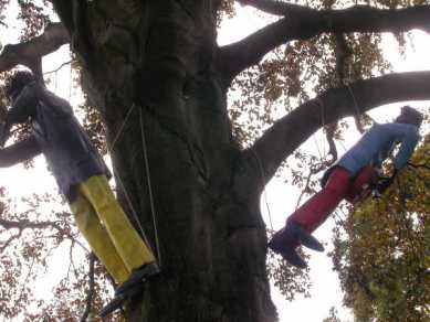 Puppen im Baum am Schloß