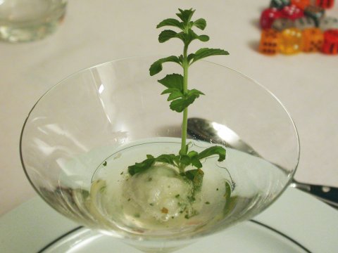 Zitronenminzsorbet in Sekt