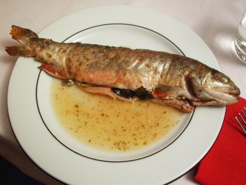Brown Trout with Basil Stuffing
