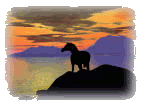 Horse and sunset