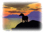 Horse and sunset